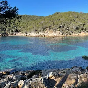 Rez-de-villa Proche De La Appartement Saint-Cyr-sur-Mer